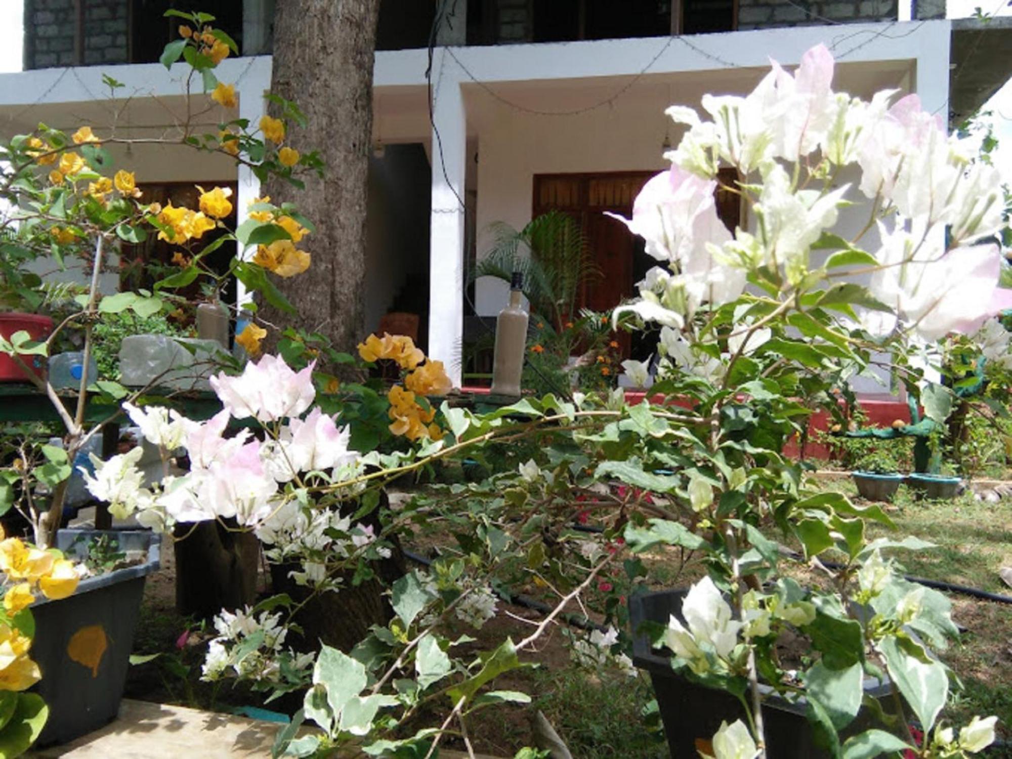 N S K Green Villa Sigiriya Exterior foto